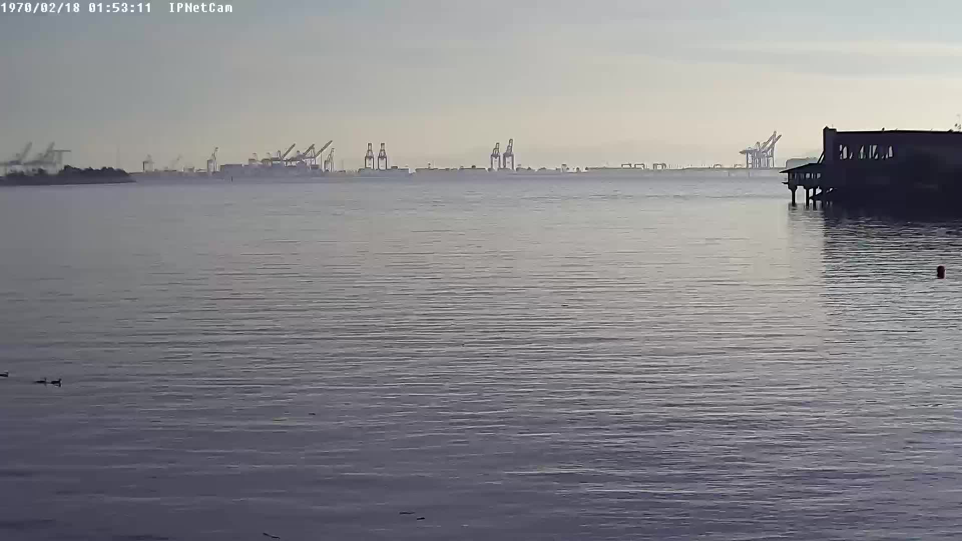 no restaurant image check webcam